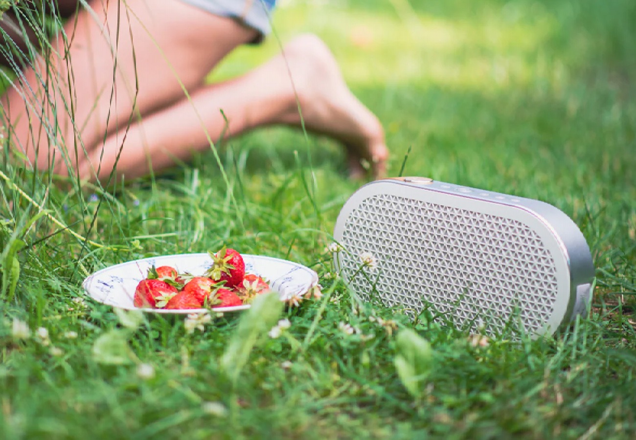 Dali KATCH G2 Bluetooth Speaker