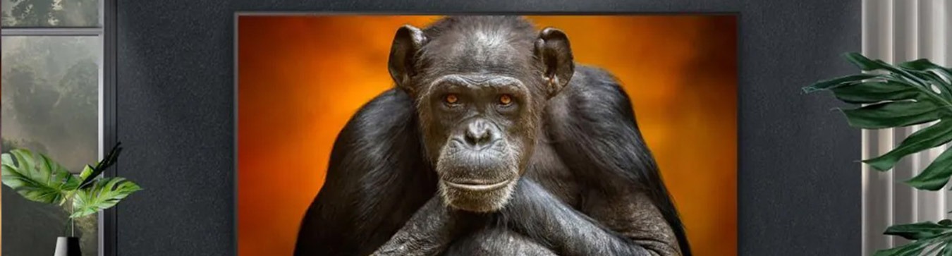 CES 2025 TV Highlights: Brightness, AI, and Bold Innovations